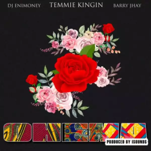 Temmie Kingin - Ohema ft. Barry Jhay, DJ Enimoney